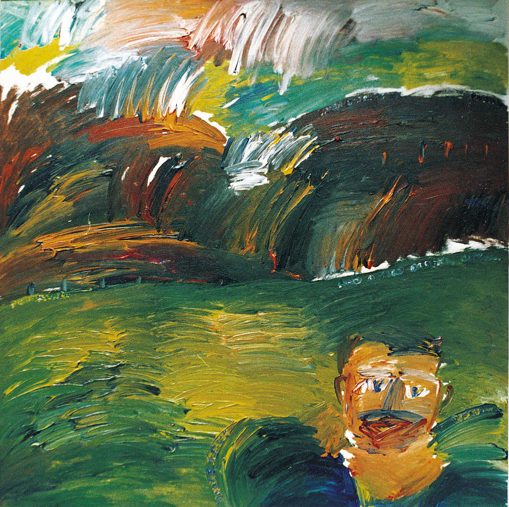 Dashwood Passs - painting