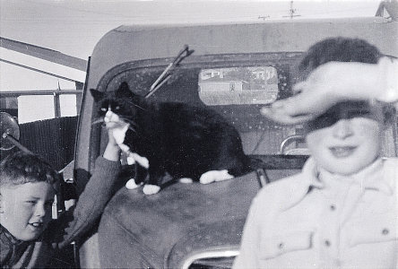 Selwyn, and the Donovan's cat Tiger and me