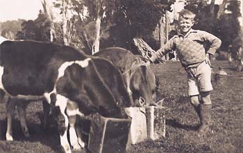 /ArtBook/fergus with cows.jpg